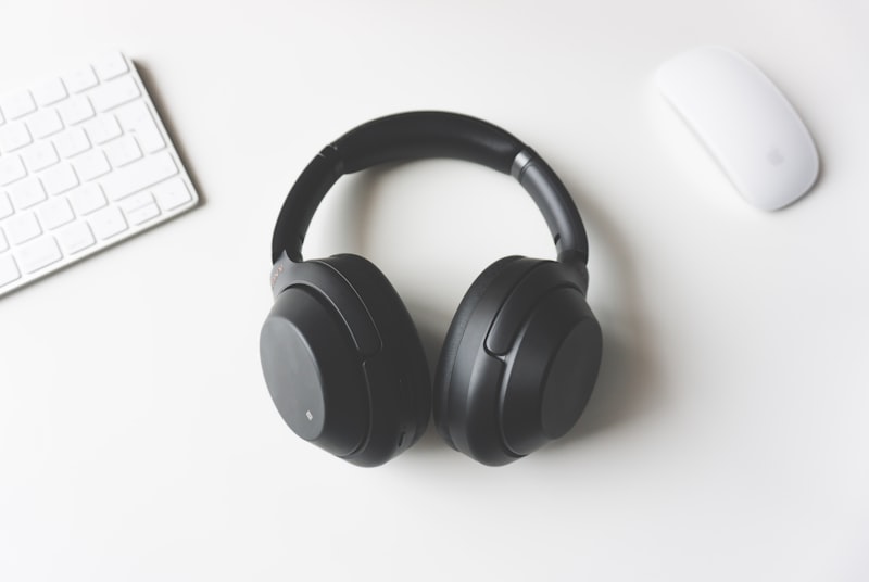 Studio headphones